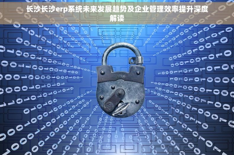 长沙长沙erp系统未来发展趋势及企业管理效率提升深度解读