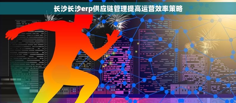 长沙长沙erp供应链管理提高运营效率策略