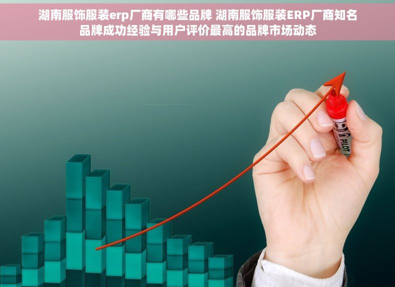 湖南服饰服装erp厂商有哪些品牌 湖南服饰服装ERP厂商知名品牌成功经验与用户评价最高的品牌市场动态