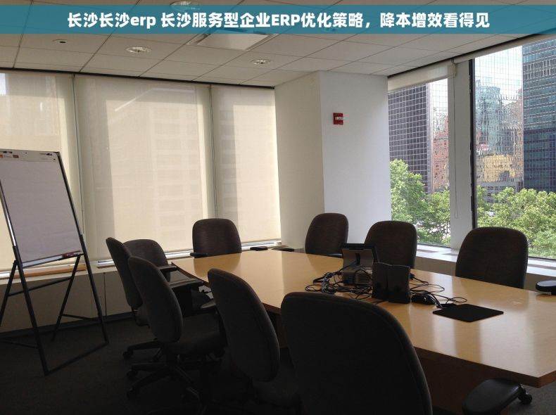 长沙长沙erp 长沙服务型企业ERP优化策略，降本增效看得见