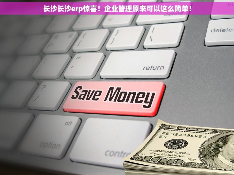 长沙长沙erp惊喜！企业管理原来可以这么简单！