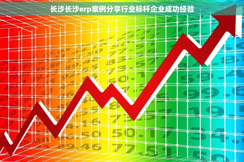 长沙长沙erp案例分享行业标杆企业成功经验