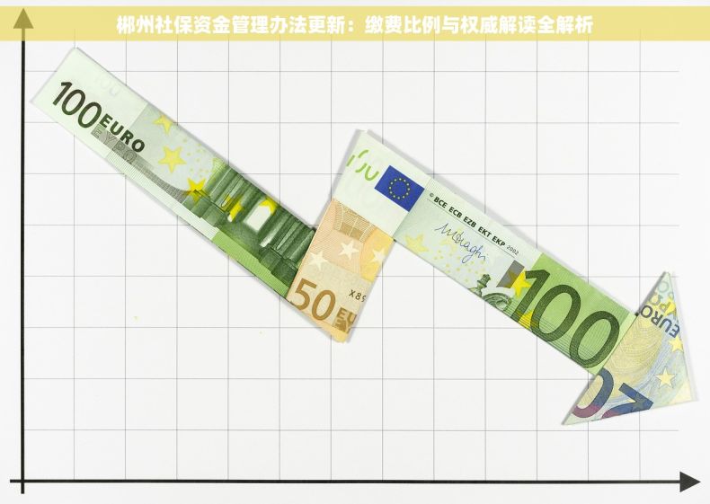 郴州社保资金管理办法更新：缴费比例与权威解读全解析