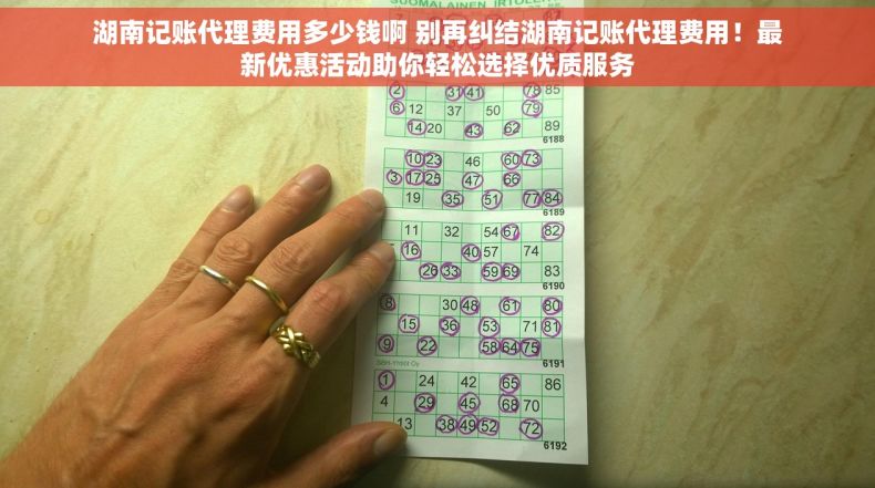 湖南记账代理费用多少钱啊 别再纠结湖南记账代理费用！最新优惠活动助你轻松选择优质服务