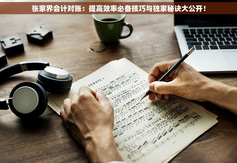 张家界会计对账：提高效率必备技巧与独家秘诀大公开！