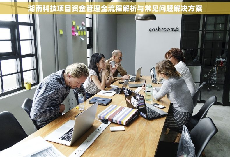 湖南科技项目资金管理全流程解析与常见问题解决方案