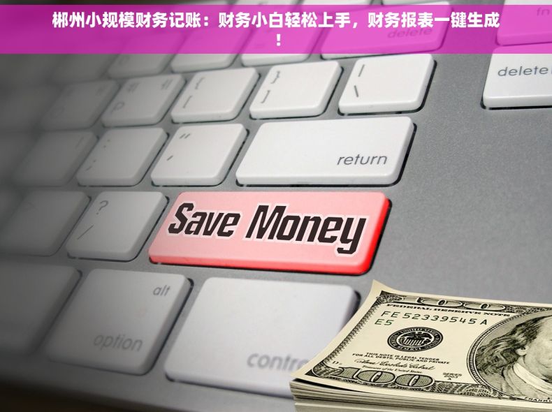 郴州小规模财务记账：财务小白轻松上手，财务报表一键生成！