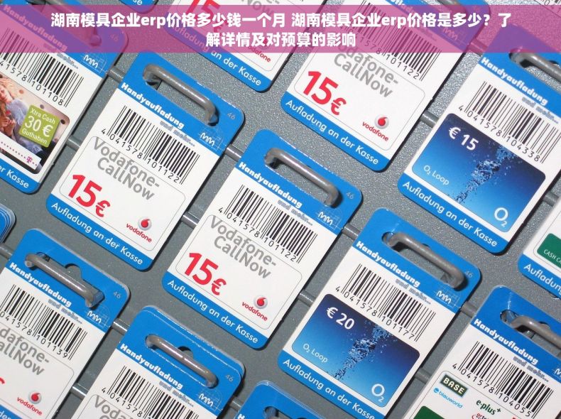 湖南模具企业erp价格多少钱一个月 湖南模具企业erp价格是多少？了解详情及对预算的影响