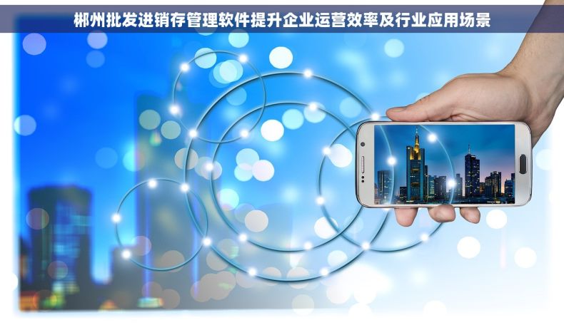 郴州批发进销存管理软件提升企业运营效率及行业应用场景