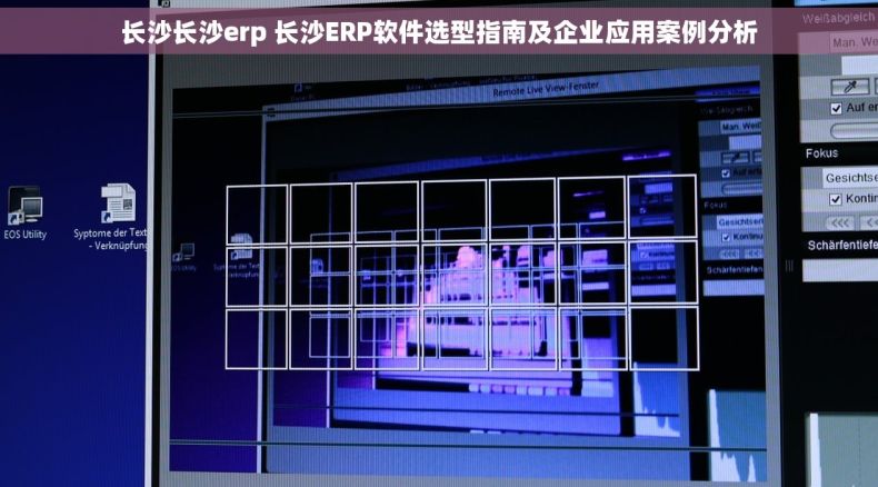 长沙长沙erp 长沙ERP软件选型指南及企业应用案例分析