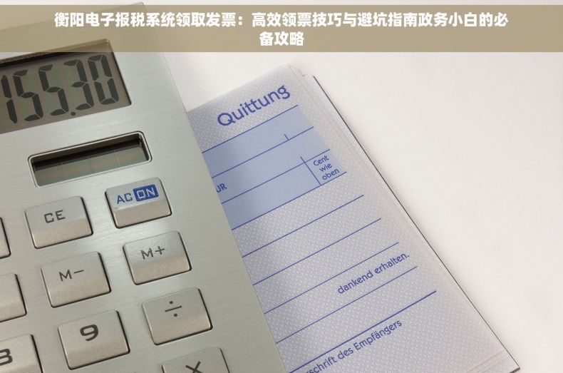 衡阳电子报税系统领取发票：高效领票技巧与避坑指南政务小白的必备攻略