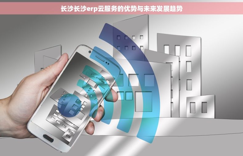 长沙长沙erp云服务的优势与未来发展趋势