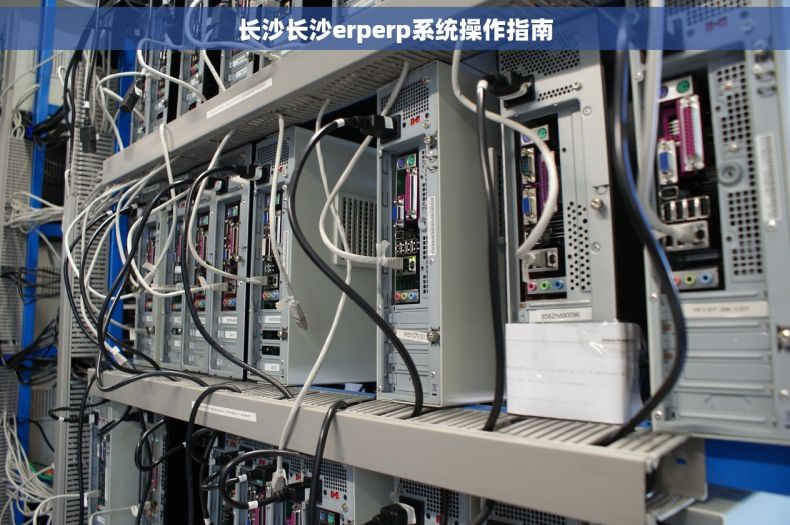 长沙长沙erperp系统操作指南