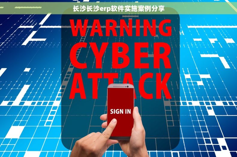 长沙长沙erp软件实施案例分享