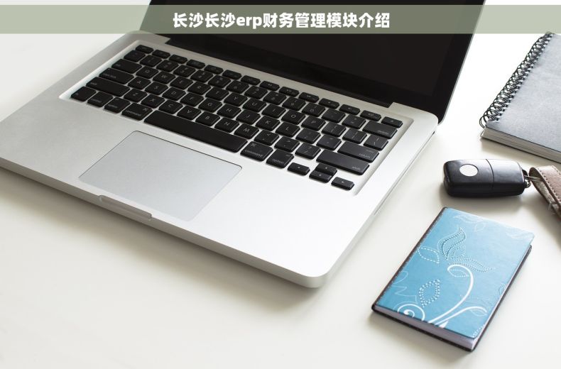 长沙长沙erp财务管理模块介绍