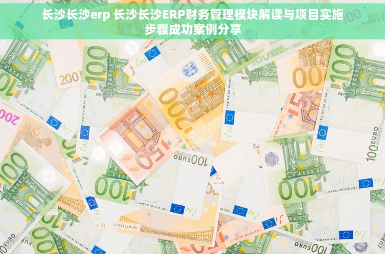 长沙长沙erp 长沙长沙ERP财务管理模块解读与项目实施步骤成功案例分享