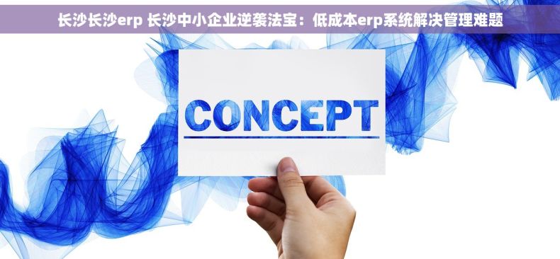 长沙长沙erp 长沙中小企业逆袭法宝：低成本erp系统解决管理难题