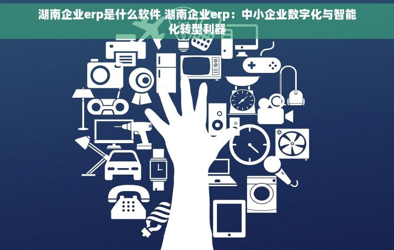 湖南企业erp是什么软件 湖南企业erp：中小企业数字化与智能化转型利器