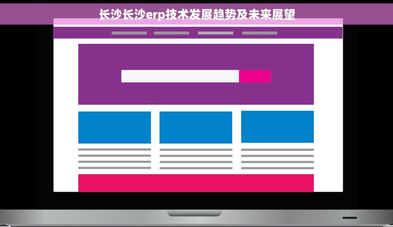 长沙长沙erp技术发展趋势及未来展望