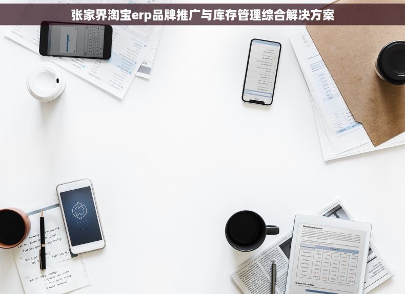 张家界淘宝erp品牌推广与库存管理综合解决方案