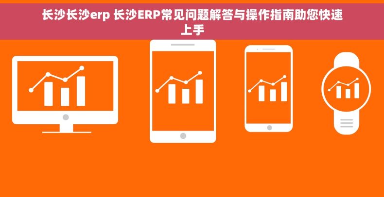 长沙长沙erp 长沙ERP常见问题解答与操作指南助您快速上手