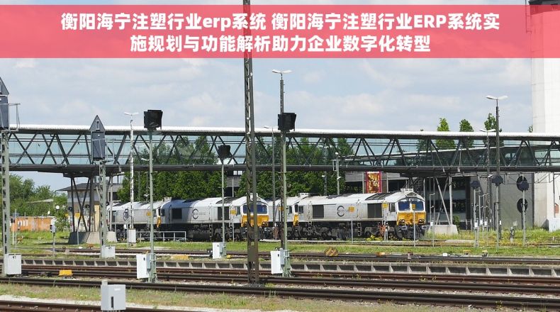 衡阳海宁注塑行业erp系统 衡阳海宁注塑行业ERP系统实施规划与功能解析助力企业数字化转型