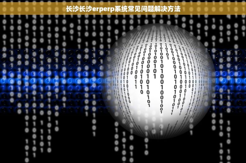 长沙长沙erperp系统常见问题解决方法