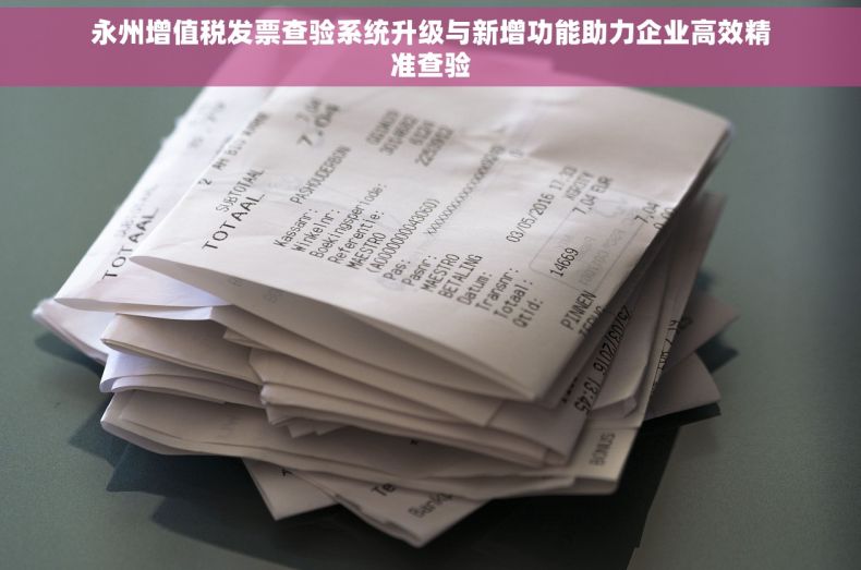 永州增值税发票查验系统升级与新增功能助力企业高效精准查验