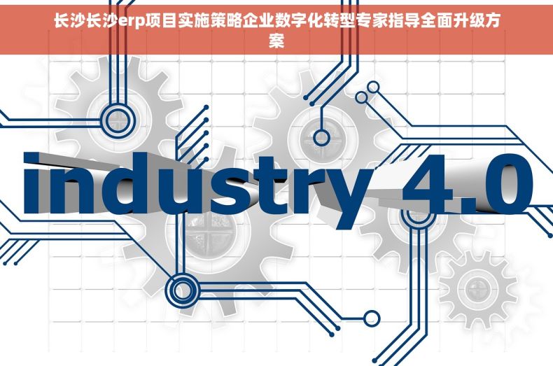 长沙长沙erp项目实施策略企业数字化转型专家指导全面升级方案