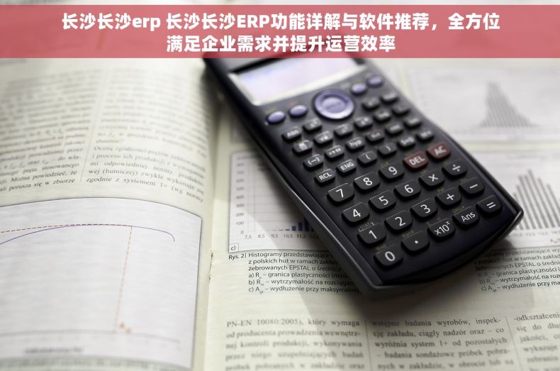 长沙长沙erp 长沙长沙ERP功能详解与软件推荐，全方位满足企业需求并提升运营效率