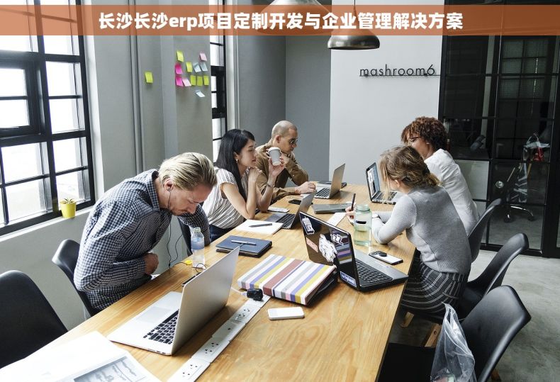 长沙长沙erp项目定制开发与企业管理解决方案