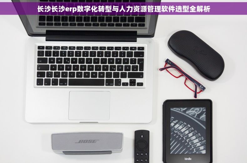 长沙长沙erp数字化转型与人力资源管理软件选型全解析