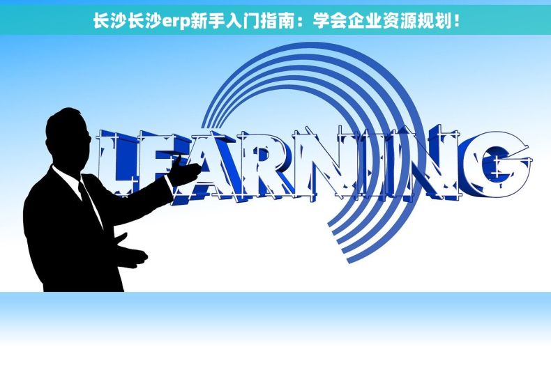长沙长沙erp新手入门指南：学会企业资源规划！