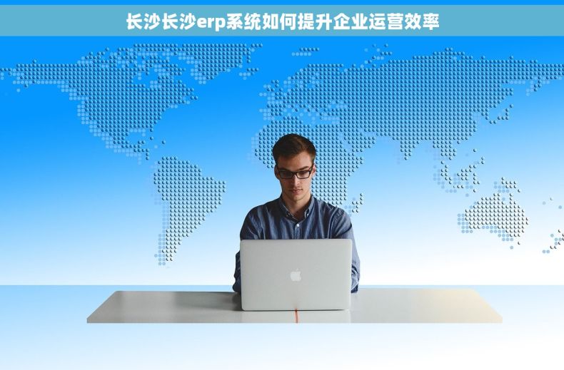 长沙长沙erp系统如何提升企业运营效率