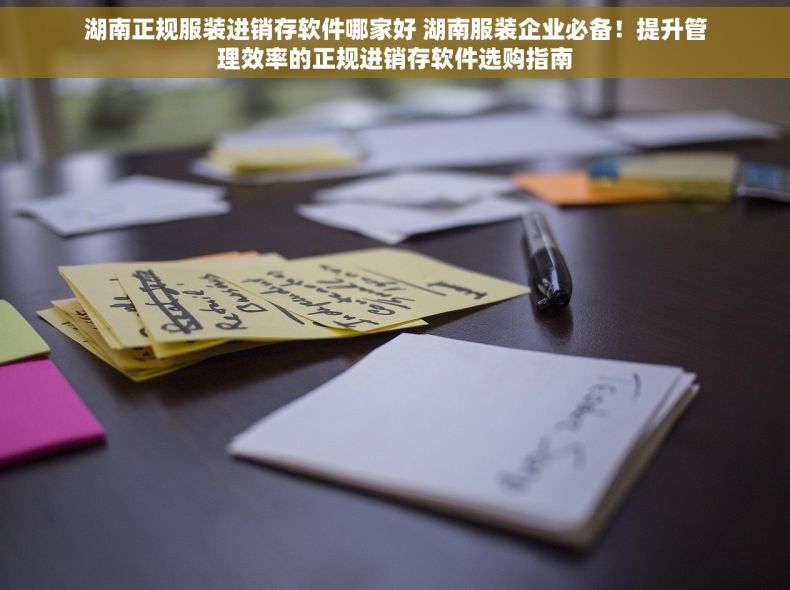 湖南正规服装进销存软件哪家好 湖南服装企业必备！提升管理效率的正规进销存软件选购指南
