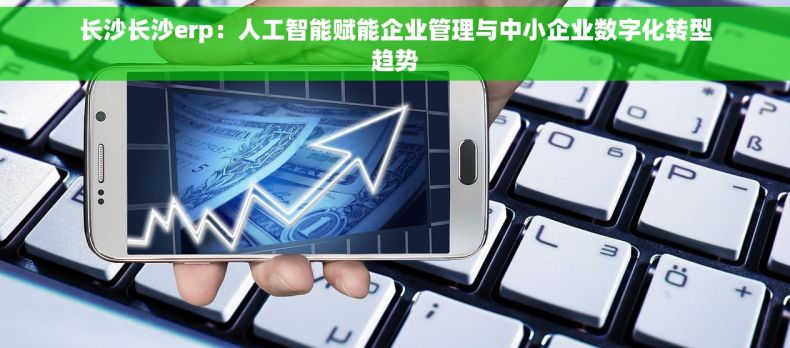 长沙长沙erp：人工智能赋能企业管理与中小企业数字化转型趋势