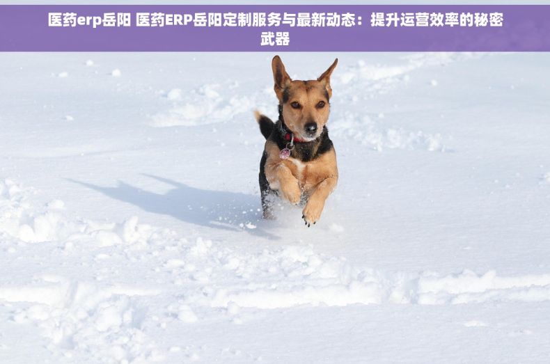 医药erp岳阳 医药ERP岳阳定制服务与最新动态：提升运营效率的秘密武器
