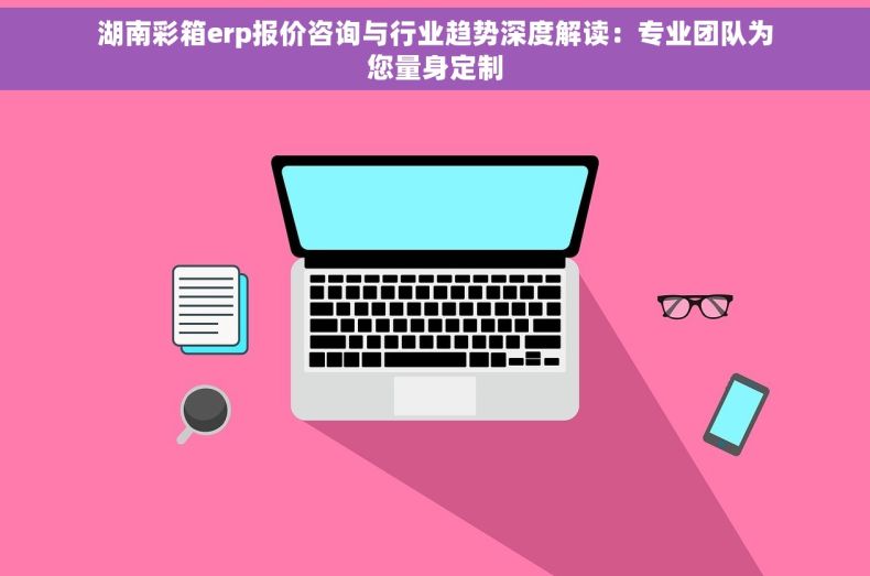 湖南彩箱erp报价咨询与行业趋势深度解读：专业团队为您量身定制