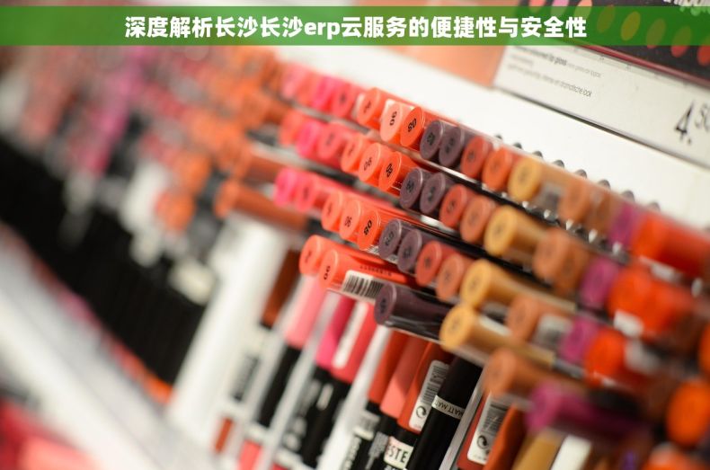 深度解析长沙长沙erp云服务的便捷性与安全性