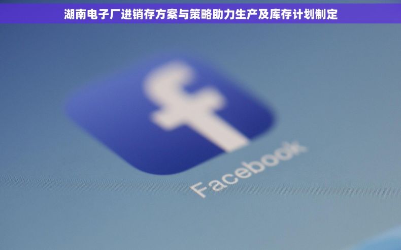 湖南电子厂进销存方案与策略助力生产及库存计划制定