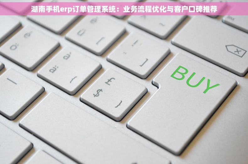 湖南手机erp订单管理系统：业务流程优化与客户口碑推荐