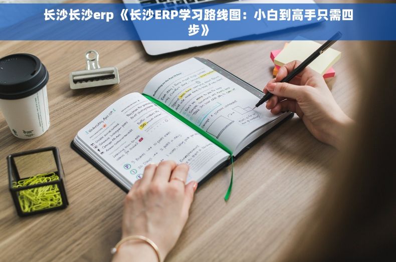 长沙长沙erp 《长沙ERP学习路线图：小白到高手只需四步》