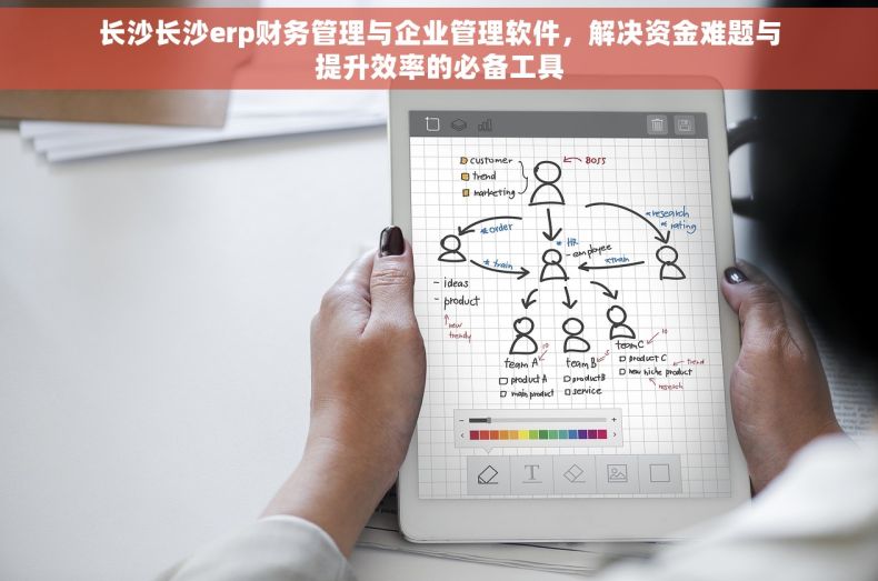 长沙长沙erp财务管理与企业管理软件，解决资金难题与提升效率的必备工具