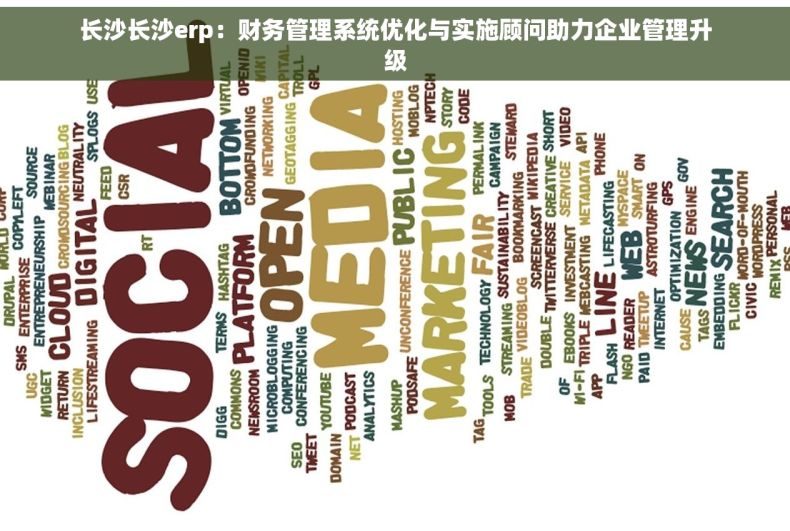 长沙长沙erp：财务管理系统优化与实施顾问助力企业管理升级