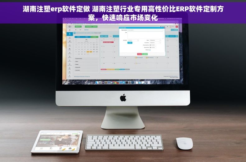 湖南注塑erp软件定做 湖南注塑行业专用高性价比ERP软件定制方案，快速响应市场变化