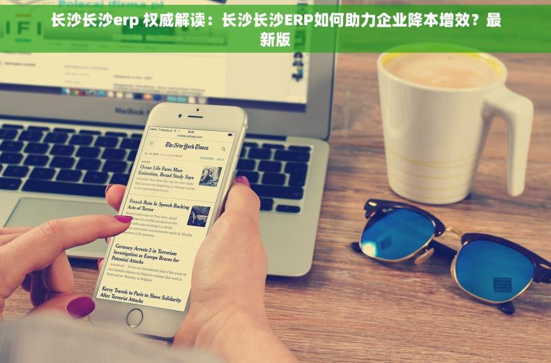 长沙长沙erp 权威解读：长沙长沙ERP如何助力企业降本增效？最新版