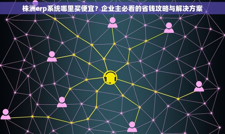 株洲erp系统哪里买便宜？企业主必看的省钱攻略与解决方案