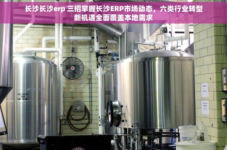 长沙长沙erp 三招掌握长沙ERP市场动态，六类行业转型新机遇全面覆盖本地需求