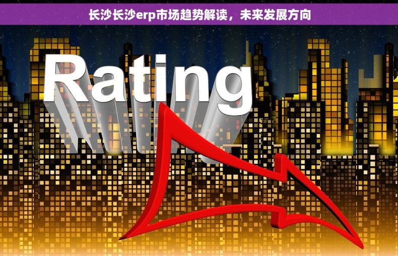 长沙长沙erp市场趋势解读，未来发展方向