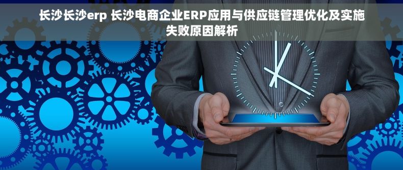 长沙长沙erp 长沙电商企业ERP应用与供应链管理优化及实施失败原因解析